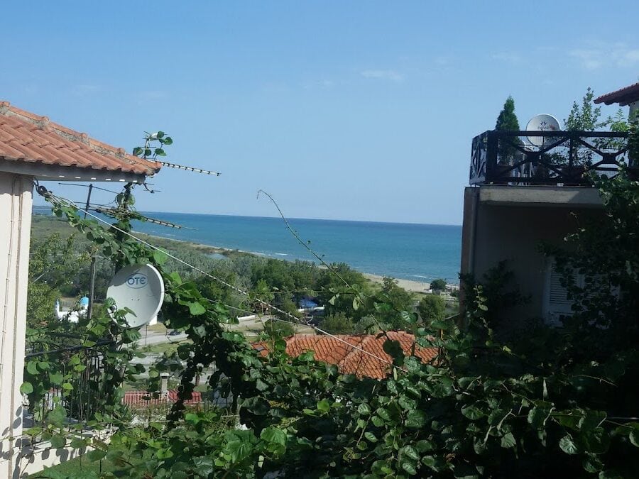 ΑΛΕΞΙΟΥ ΔΗΜΗΤΡΙΟΣ ΜΕΛΑΘΡΟΝ ΜΑΓΝΑΥΡΑΣ - ΣΤΟΜΙΟ ΛΑΡΙΣΑΣ 0, 40007 ΛΑΡΙΣΑΣ ΛΑΡΙΣΑ