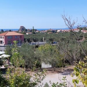 ΛΑΣΙΑ STUDIOS - ΠΕΤΡΑ 0, 81109 ΠΕΤΡΑ ΛΕΣΒΟΣ