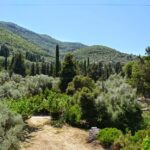 ODYSSEIA APARTMENTS - NIKIANA 0000, 31100 FRAXI LEFKADA