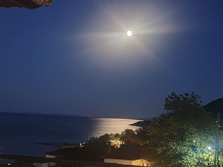 ΟΠΑΛΙΟ - ΑΓΙΟΣ ΙΩΑΝΝΗΣ 00, 37012  ΑΓΙΟΣ ΙΩΑΝΝΗΣ