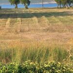 HONTZEAS ILIAS - AGIOS NIKOLAOS MESSINIAS 00, 24022 AGIOS NIKOLAOS MESSINIAS AGIOS NIKOLAOS MESSINIAS