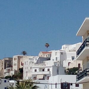 SOFIA DREAMS - ΑΓΙΑ ΑΝΝΑ 0, 84300  ΝΑΞΟΣ