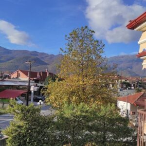 ΦΙΛΙΠΠΕΙΟ - ΛΟΥΤΡΑΚΙ 0, 58400 ΑΛΜΩΠΙΑ ΑΡΙΔΑΙΑ