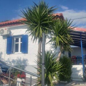 VILLA VRACHOS PREVEZA - ΒΡΑΧΟΣ 0, 48062  ΠΡΕΒΕΖΑ