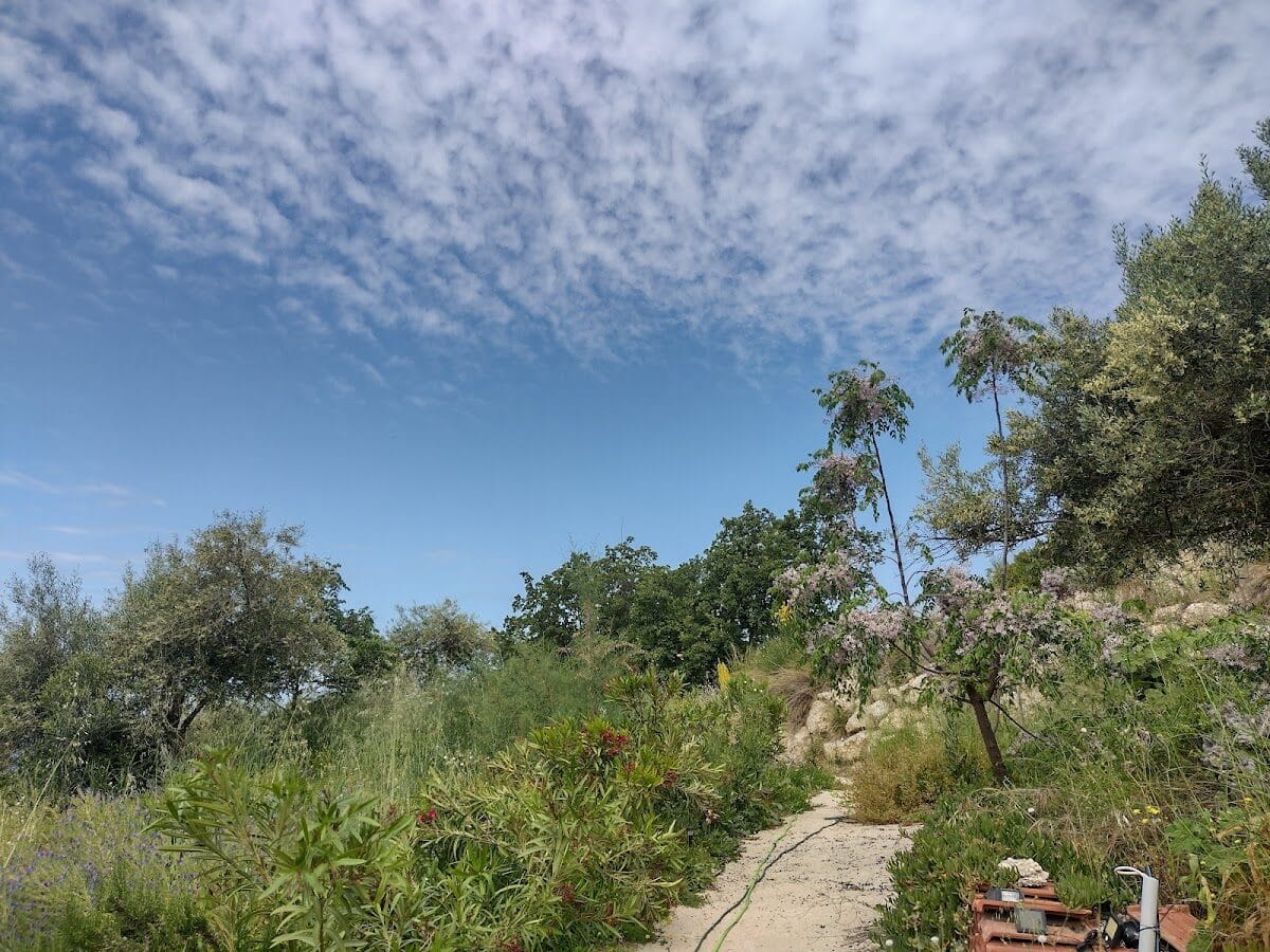 VILLA VRACHOS PREVEZA - ΒΡΑΧΟΣ 0, 48062  ΠΡΕΒΕΖΑ