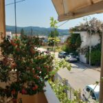 GEORGARA VASSILIKI - KASTROSYKIA 0, 48100 KASTROSYKIA PREVEZA