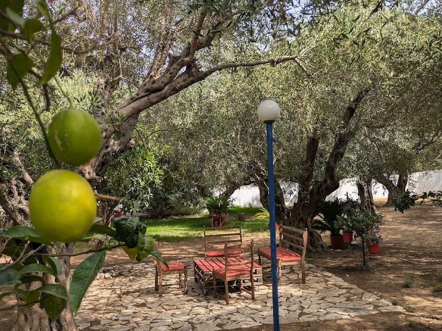 ΚΟΤΣΙΝΗ ΜΑΡΓΑΡΙΤΑ - ΠΑΡΑΛΙΑ ΚΑΝΑΛΙΟΥ 0, 48100 ΚΑΝΑΛΙ ΠΡΕΒΕΖΑΣ ΠΡΕΒΕΖΑ