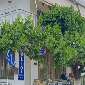 ΦΩΤΕΙΝΗ - ΚΩΣΤΗ ΠΑΛΑΜΑ  5, 35008  ΚΑΜΜΕΝΑ  ΒΟΥΡΛΑ