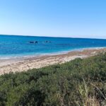 ARTOLITHIA APARTMENTS - RIZA 0, 48100 PREVEZA