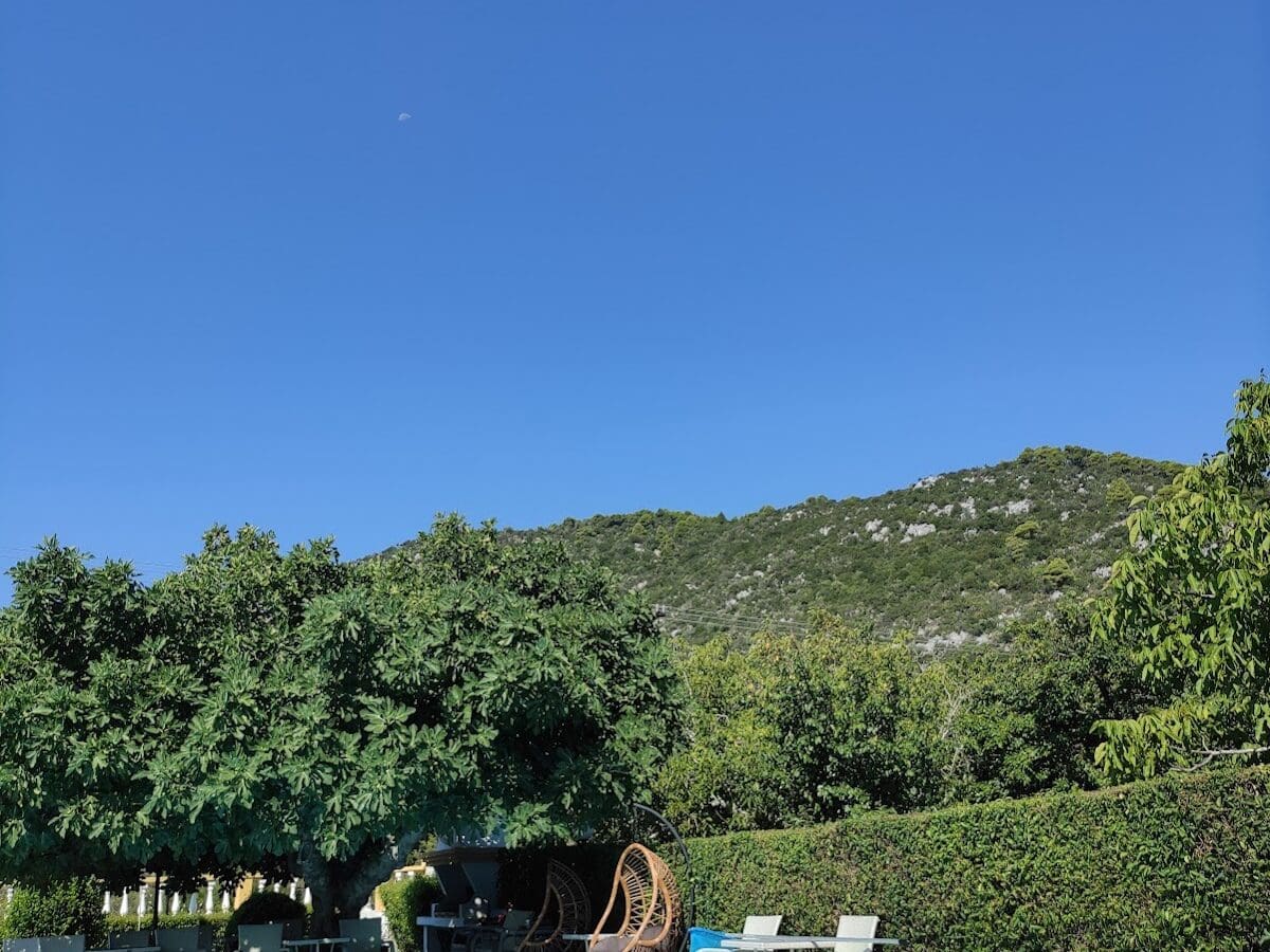ΠΗΓΑΣΟΣ - ΣΤΑΦΥΛΟΣ 0, 37003 ΣΤΑΦΥΛΟΣ ΣΚΟΠΕΛΟΣ