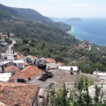 ARTEMIS BUNGALOWS - SKOPELO STAFYLOU 3rd km, 37003 STAFYLOS SKOPELOS