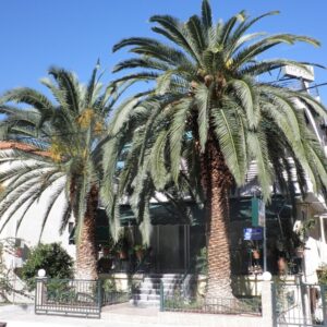 ΝΟΥΦΑΡΑ - 28ΗΣ  ΟΚΤΩΒΡΙΟΥ 28, 35008  ΚΑΜΜΕΝΑ  ΒΟΥΡΛΑ