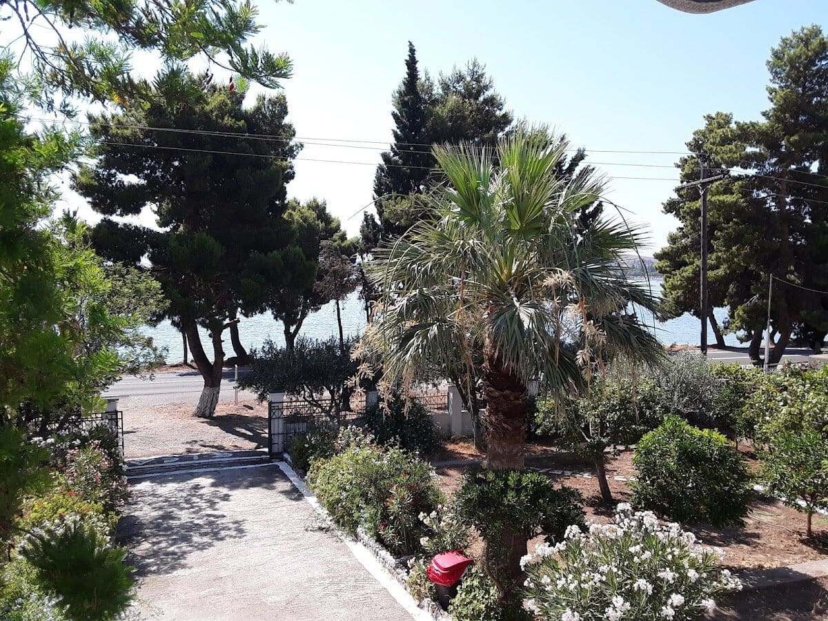 ΞΕΝΩΝΑΣ ΕΛΑΙΑ - ΓΑΛΑΞΙΔΙ 0, 33052  ΓΑΛΑΞΙΔΙ