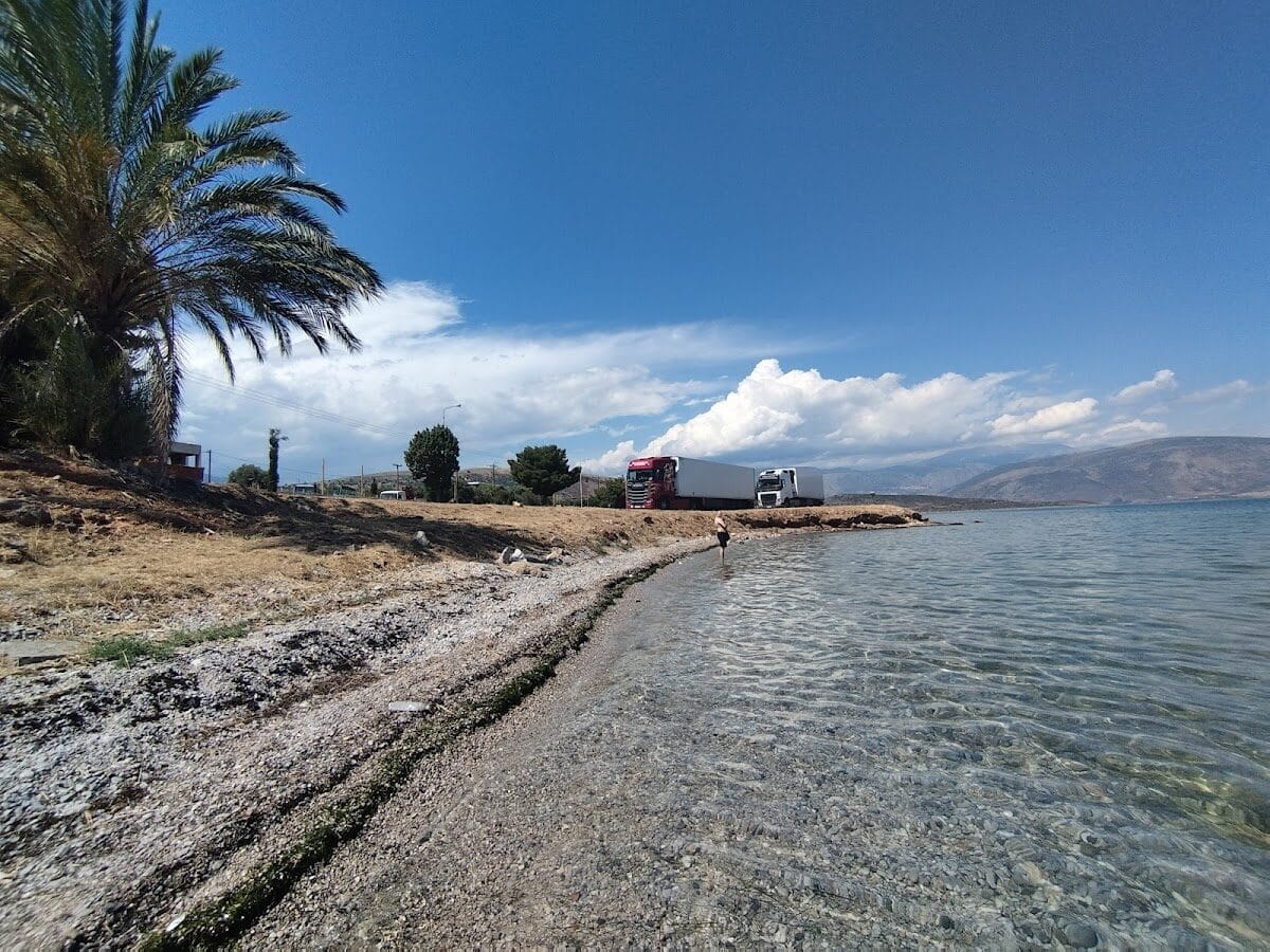 ΞΕΝΩΝΑΣ ΕΛΑΙΑ - ΓΑΛΑΞΙΔΙ 0, 33052  ΓΑΛΑΞΙΔΙ