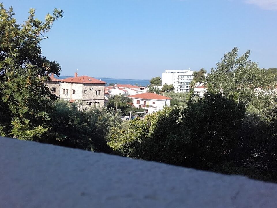 ΛΕΛΕΓΙΑΝΝΗ ΤΡΙΑΝΤΑΦΥΛΛΙΑ - ΨΑΚΟΥΔΙΑ 0, 63071  ΨΑΚΟΥΔΙΑ