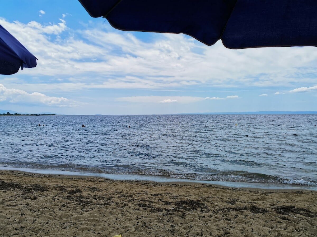 ΛΕΛΕΓΙΑΝΝΗ ΤΡΙΑΝΤΑΦΥΛΛΙΑ - ΨΑΚΟΥΔΙΑ 0, 63071  ΨΑΚΟΥΔΙΑ