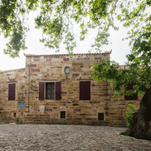 ΑΡΧΟΝΤΙΚΟ ΡΙΖΙΚΟ - ΑΡΙΣΤΕΙΔΗ ΚΑΡΑΒΑ 12, 82100 ΠΑΝΑΓΙΑ ΣΥΡΙΩΤΙΣΣΑ ΚΑΜΠΟΣ ΧΙΟΣ