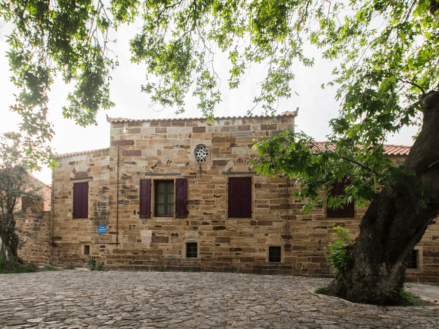 ΑΡΧΟΝΤΙΚΟ ΡΙΖΙΚΟ - ΑΡΙΣΤΕΙΔΗ ΚΑΡΑΒΑ 12, 82100 ΠΑΝΑΓΙΑ ΣΥΡΙΩΤΙΣΣΑ ΚΑΜΠΟΣ ΧΙΟΣ