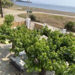 Living Yard Sea Lily – Διαμερίσματα στην Παραλία Αγίας Άννας, Εύβοια - φωτογραφία 1