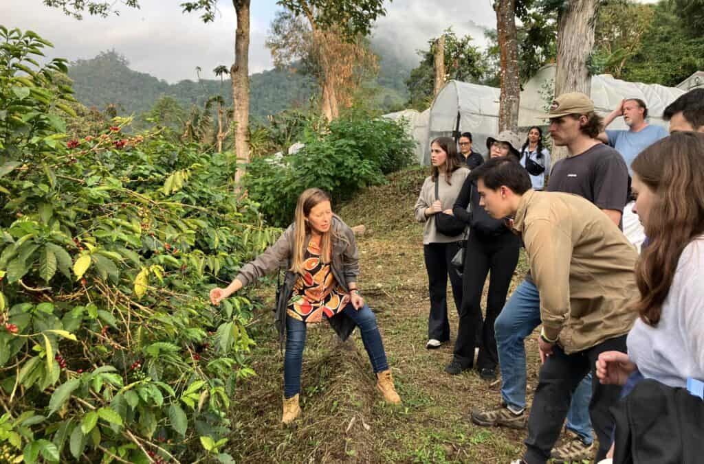 Students participating in field research on the 2025 Winter Interterm trip to Colombia.