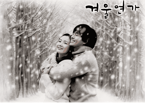 Snowy path at Nami Island, a famous Winter Sonata filming site.