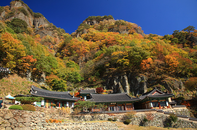 A Korean Buddhist temple nestled in the mountains surrounded by trees.