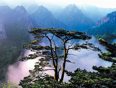 Scenic view of Korean mountains covered in green forests.