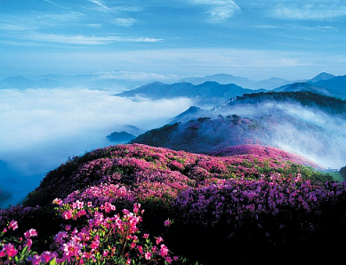Scenic view of Korean mountains covered in green forests.