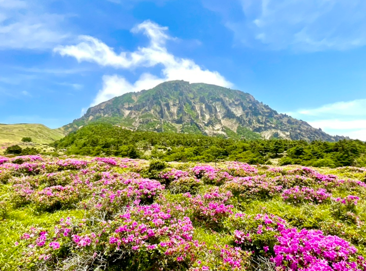 Scenic landscape view of Hallasan Mountain in Jeju Island, South Korea