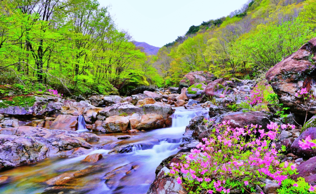 Jirisan National Park mountain landscape in South Korea