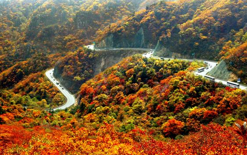 Autumn foliage covering mountain trails in vibrant red and orange.