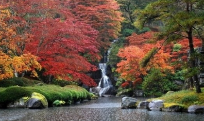 Autumn foliage covering mountain trails in vibrant red and orange.
