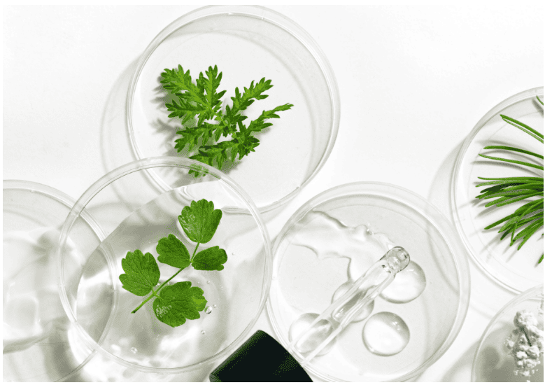 Combination image of lab beakers with leaves representing clean beauty science