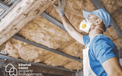 All NZ Rentals Must Meet Healthy Homes Standards by 1 July 2025
