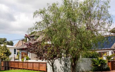 Neighbours trees or bushes encroaching on your property?