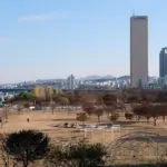 Yeouido Hangang Park from Mapo Bridge 1