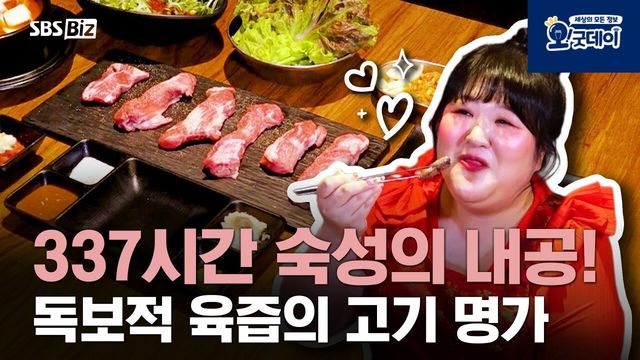 캥거루족 - 캥거루족
