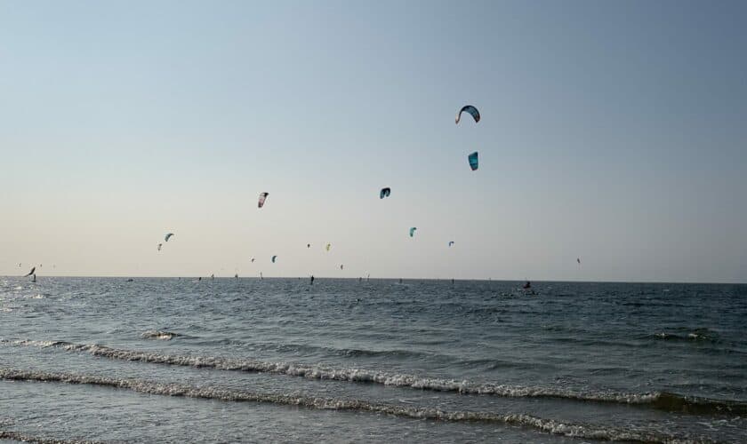 Veel surfers op het water.