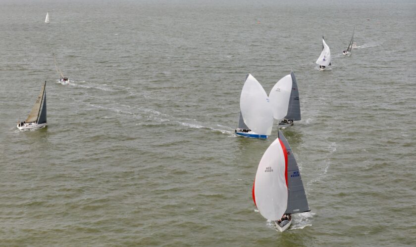 Meerdere zeilschepen doen mee aan een evenement op zee.