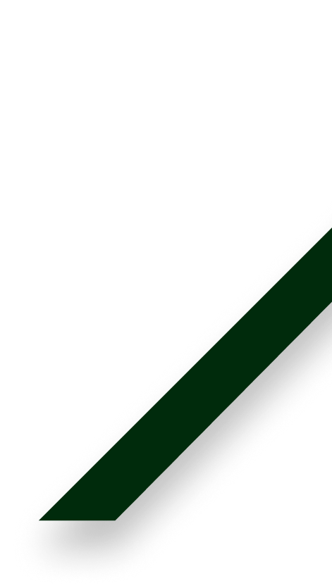 Rectangle 5 (1)