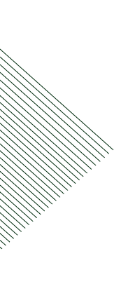 Vector (2)