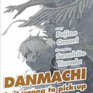 Danmachi Novel 11