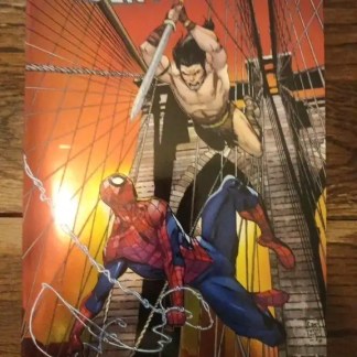 Illustrazione di Spider-Man e l'uomo senza paura su un ponte sospeso.