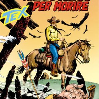 Tex fumetto western avventura cowboy.