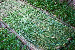 Are Booby Traps Illegal?