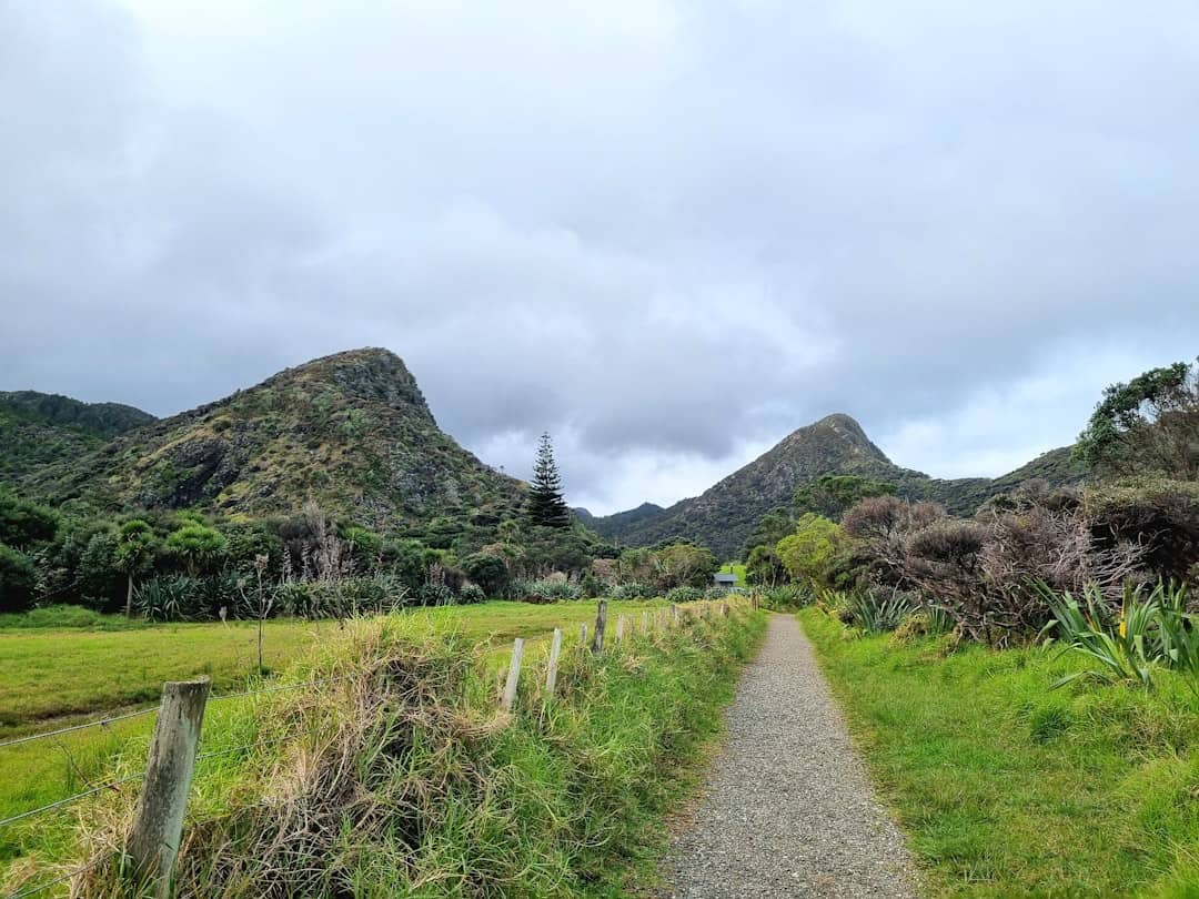 Photo courtroom trial