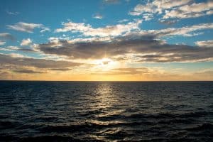 Photo handshake, contract