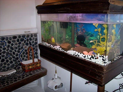 akwarium w łazience remont łazienki warszawa w 10 dni