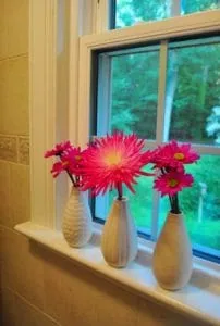 kwiaty doniczkowe w łazience łazienka w 10 dni