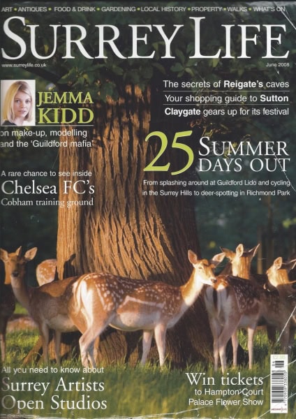 Lee Richard Upholstery in Surrey Life Magazine 2008